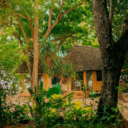 Auberge de jeunesse Mikadi Beach Camp & Backpackers à Dar es Salaam Extérieur photo