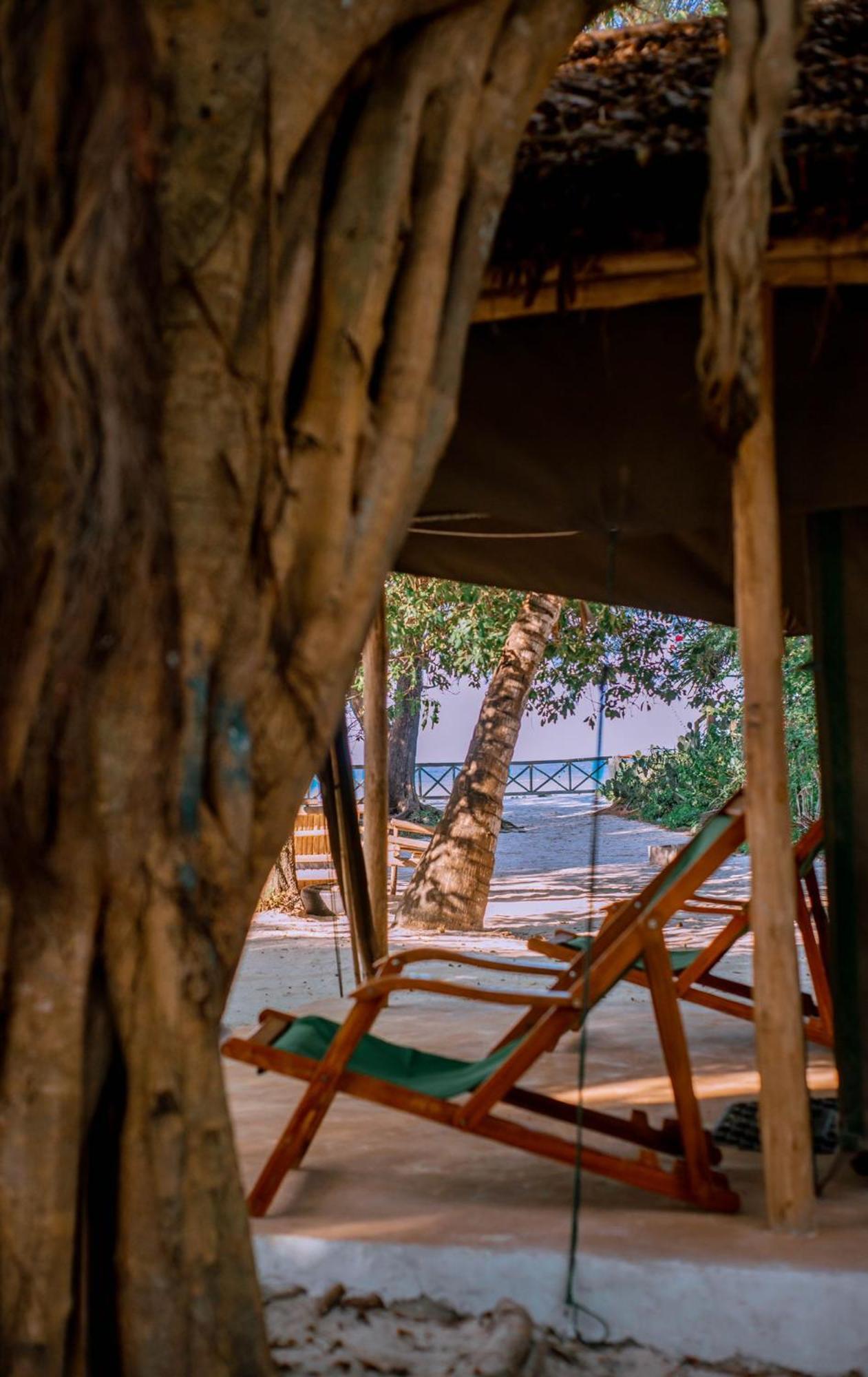 Auberge de jeunesse Mikadi Beach Camp & Backpackers à Dar es Salaam Extérieur photo