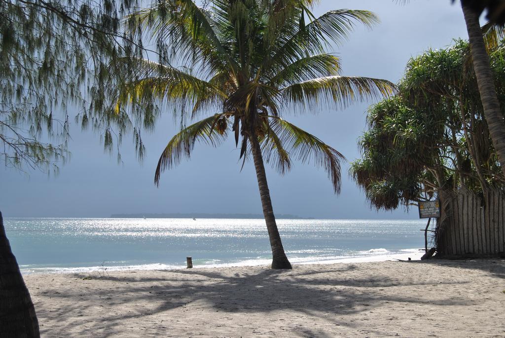 Auberge de jeunesse Mikadi Beach Camp & Backpackers à Dar es Salaam Extérieur photo